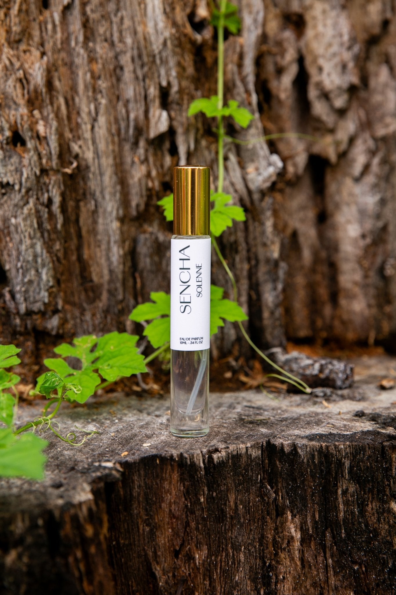 SENCHA | 10mL - 0.34oz | Eau de Parfum - SOLENNE