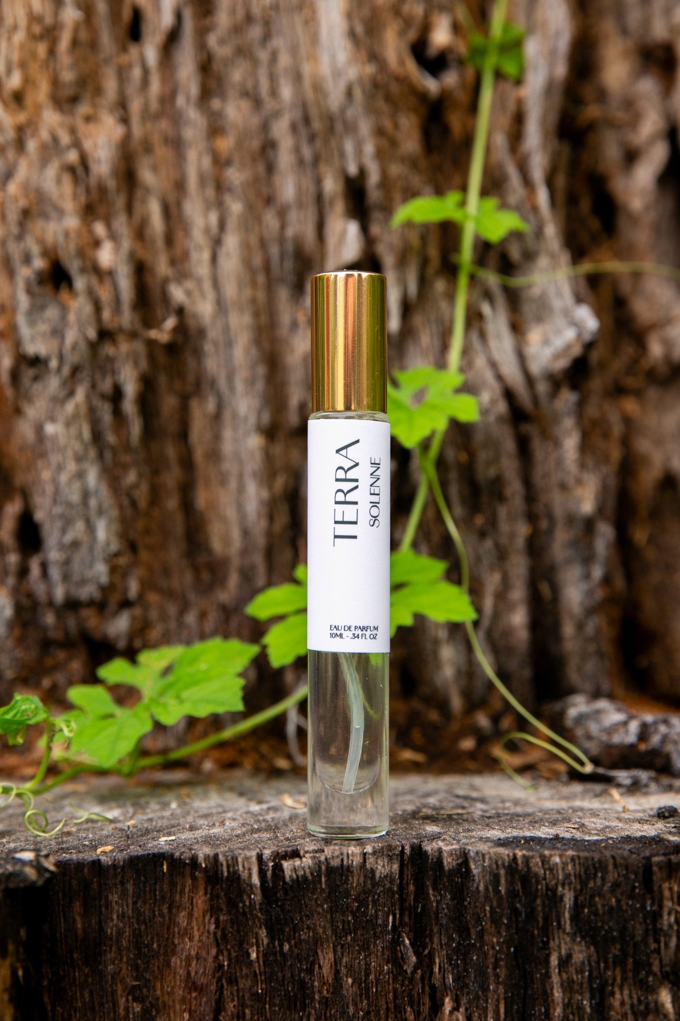 TERRA | 10mL - 0.34oz | Eau de Parfum - SOLENNE
