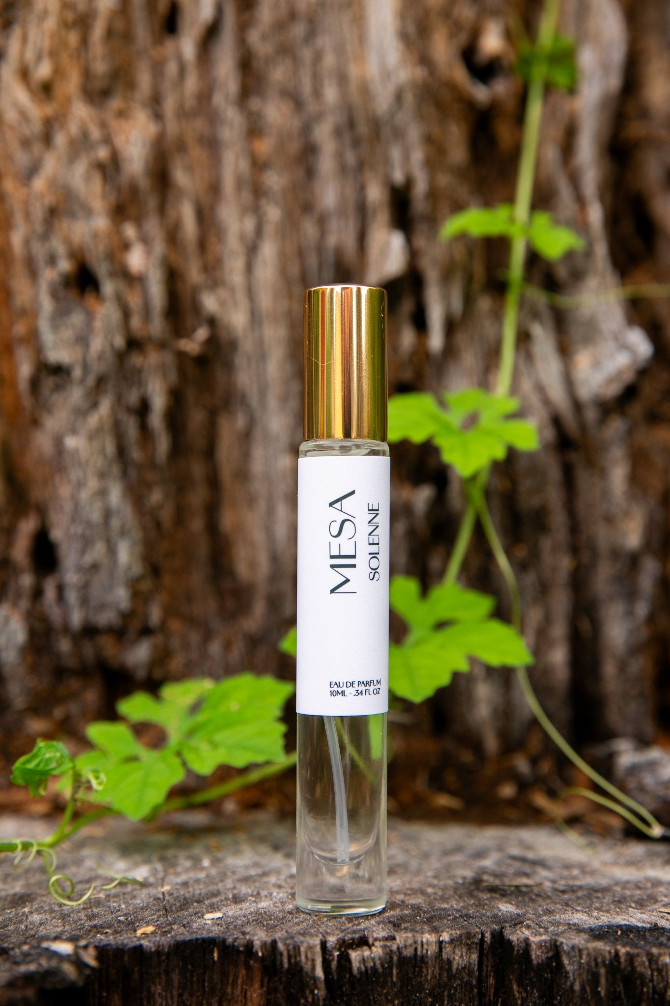 MESA | 10mL - 0.34oz | Eau de Parfum - SOLENNE