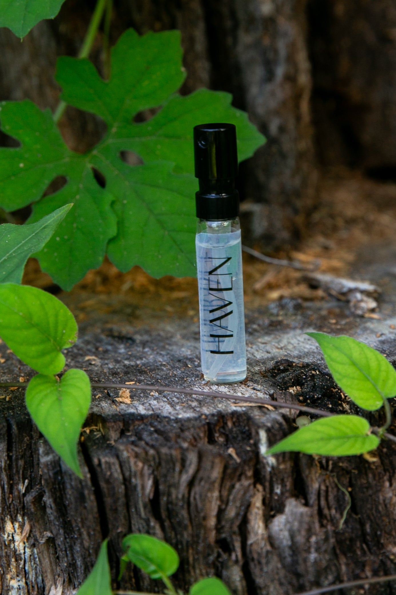 Haven 3mL Sample | Eau de Parfum - SOLENNE