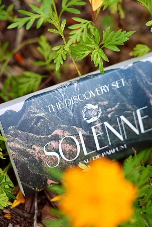 DISCOVERY SET - THE BESTSELLERS - SOLENNE