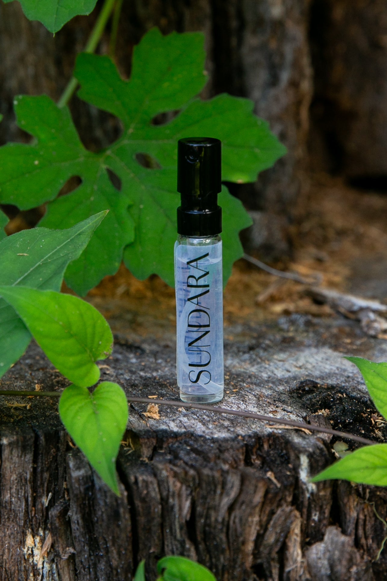 Sundara 3mL Sample | Eau de Parfum - SOLENNE