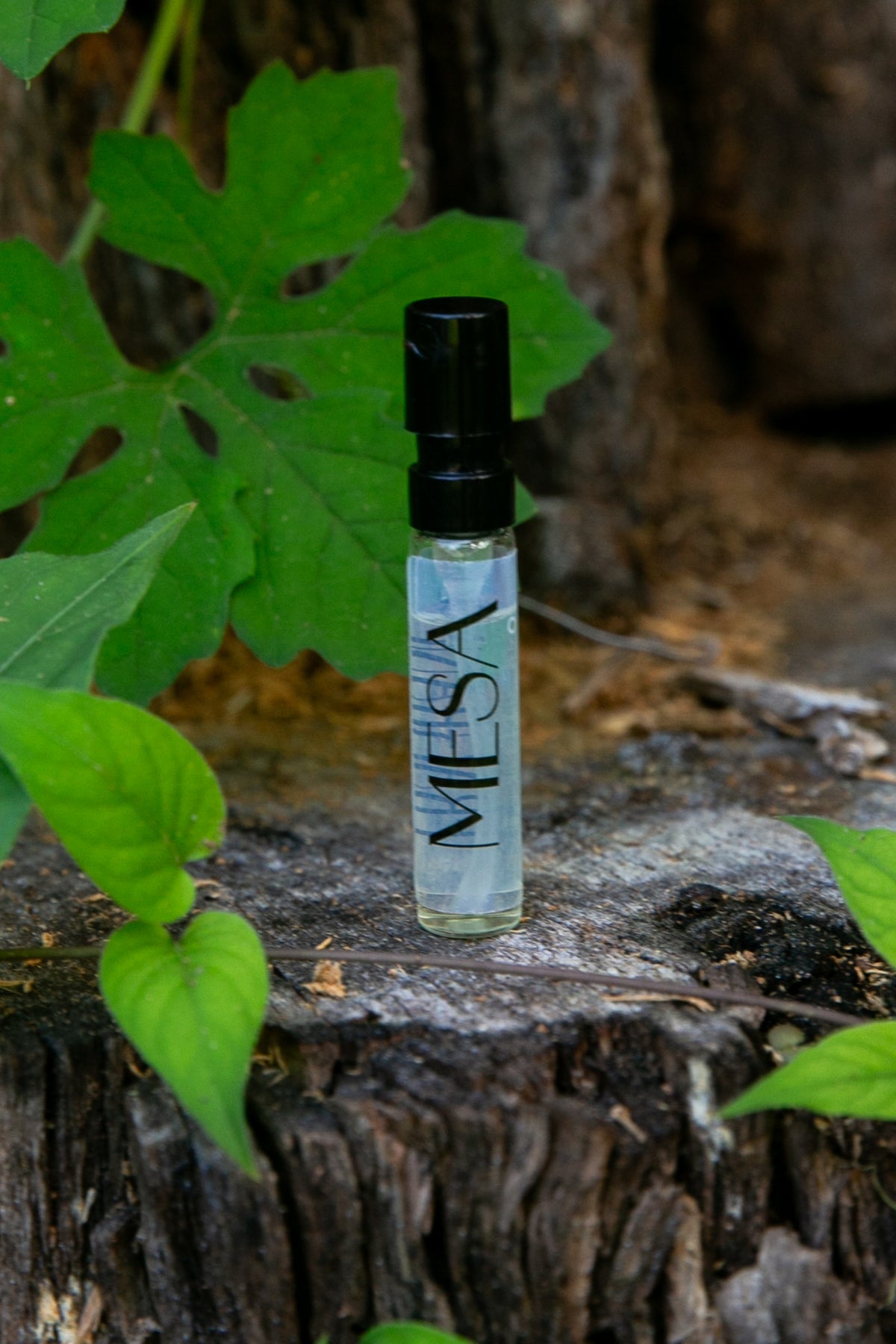 Mesa 3mL Sample | Eau de Parfum - SOLENNE