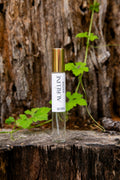 AURÉLINÉ | 10mL - 0.34oz | Eau de Parfum