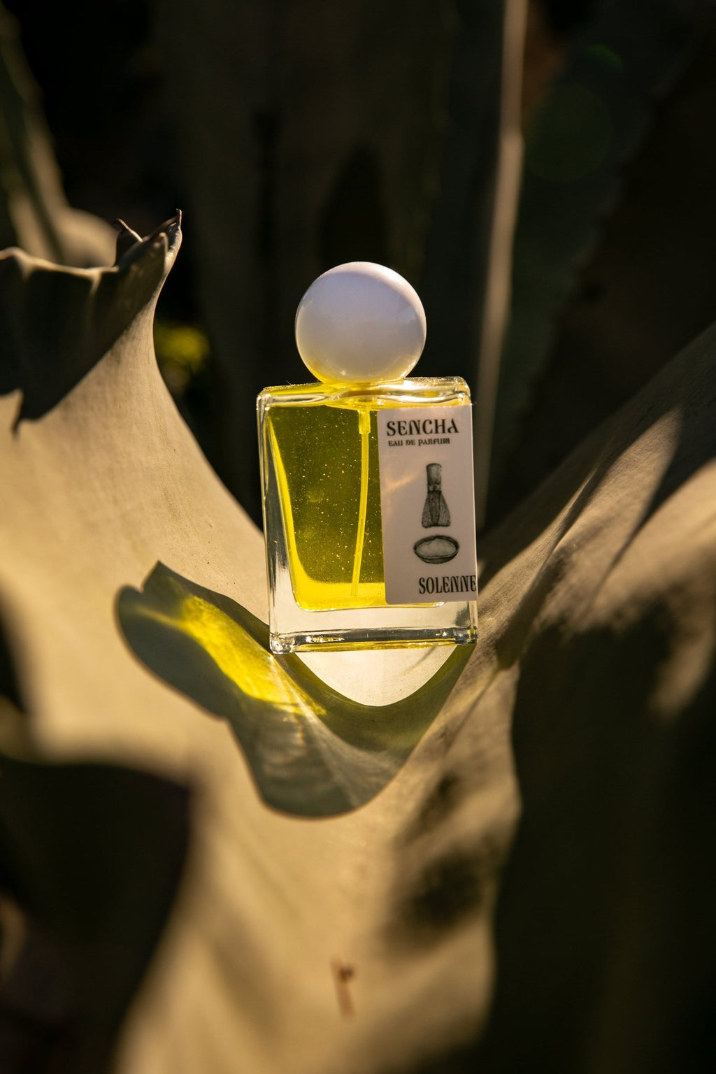 SENCHA - SOLENNE