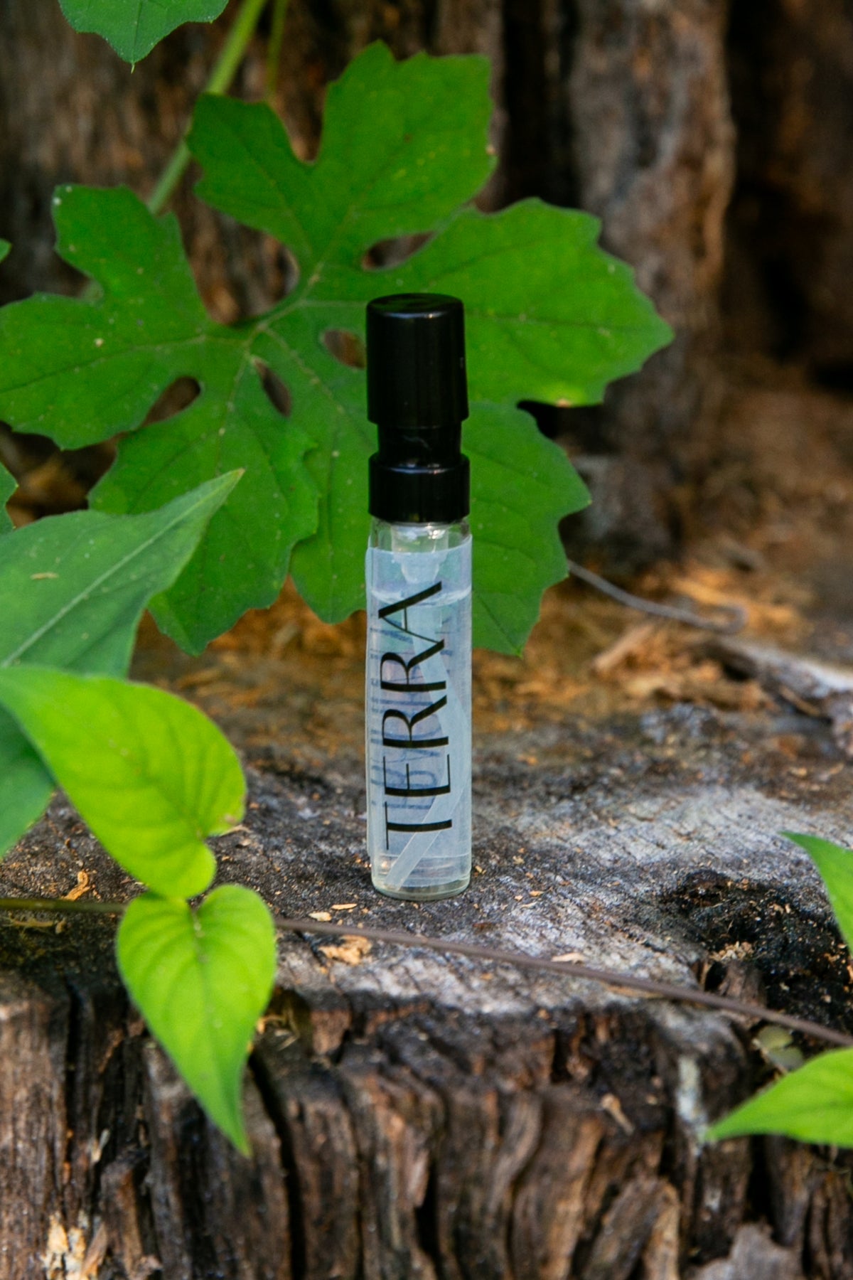 Terra 3mL Sample | Eau de Parfum - SOLENNE
