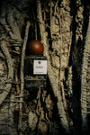 TERRA | Eau de Parfum - SOLENNE