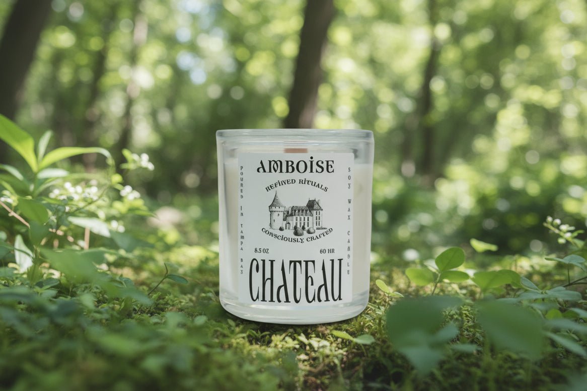 AMBOISE CHATEAU - SOLENNE